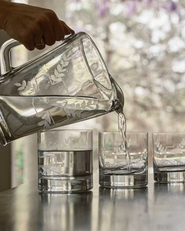 Imperio Pitcher